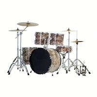 Batterie de percussions professionnelle de haute qualité, facile à apprendre, durable, simple à installer, 5 pièces, 5 tambours + 4 cymbales OEM DM022603