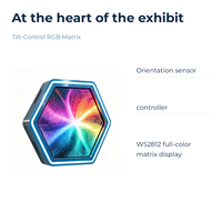 Affichage interactif de science avec matrice RGB à contrôle d'inclinaison hexagonale pour exposition scientifique, éducation STEM, école, musée scientifique