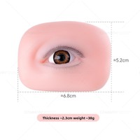 Module de Cils en Silicone pour Débutants, Blocs Oculaires pour Cils Supérieurs/Inférieurs, Blanc, Réutilisable, Effet 3D Réaliste, Lifting des Yeux Ouverts