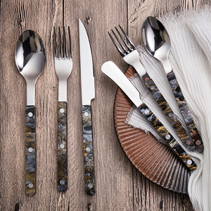 A-62 Popular Restaurant Silver 18/8 304 Stainless Steel Flatware Cutlery <strong>Set</strong> with Resin Handle - Product Image 1