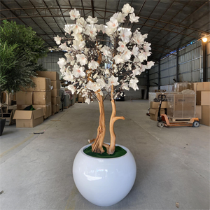 Árbol de Magnolia artificial de interior <span class=keywords><strong>blanco</strong></span> con material de madera Faux Cherry Blossom para restaurante Hotel decoración del hogar - Product Image 1