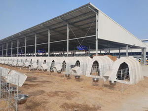 Nuova Cuccia per Vitelli DEMA DMCH-220 in Plastica e Acciaio Zincato di Alta Qualità, Confortevole per l'Allevamento di Bestiame, Tipo H - Product Image 5