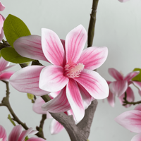 Pohon Magnolia Buatan 100cm Daun Hijau Palsu Tanaman Pot Bunga Pohon Bonsai Palsu untuk Dekorasi Rumah