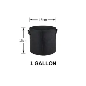 Vườn Ươm Vải Sục Khí Trồng Túi 1 2 3 7 10 Gallon Trồng Chậu Trái Cây Không Dệt Cảm Thấy Cây Trồng Chậu Hoa Trồng Túi