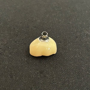 Produits d'implants dentaires laboratoire numérique personnalisé <span class=keywords><strong>molaire</strong></span> dent artificielle bonne marge meilleur ajustement <span class=keywords><strong>prix</strong></span> bon marché - Product Image 6