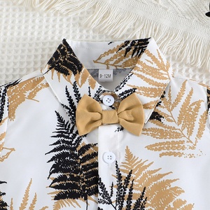 Conjunto de Dos Piezas al por Mayor para Bebés Niños, Estilo Resort de Playa, Camisa con Estampado de Palmeras y Pantalones Cortos Deportivos Casuales para Verano - Product Image 2