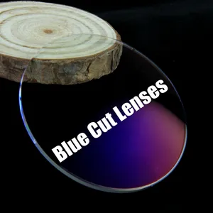 Modieuze En Draagbare Fabrieksprijs Index Groothandel 1.56 Anti Blauwe Lens Optische Lenzen Voor Oog