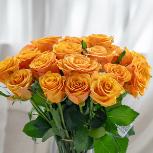 Atacado Personalizado Natural Único Veludo Rosas Fresco Corte Vermelho e Branco Fábrica Direto Flor Fornecimento - Product Image 4