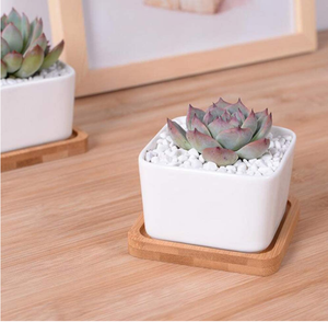 Mini ensemble de bureau décoratif en étain 3 pots succulents Mini pots Jardinière de fleurs avec plateau - Product Image 5
