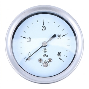 Instrument de mesure du diamètre YE60BFZ 40Kpa, jauge haute pression résistante aux chocs en acier inoxydable - Product Image 2