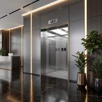 Ascenseur résidentiel pour passagers en acier inoxydable avec entraînement par traction et contrôle intelligent pour villa et hôtel