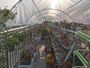 Bâche en PVC transparente résistante et imperméable pour couverture <span class=keywords><strong>de</strong></span> jardin extérieur, écran en maille imperméable, balcon, tissu industriel - Product Image 4