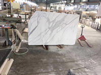 Dalles de marbre blanc 100 % naturel, poli, style italien moderne, pour usage hôtelier, Snow Bianco Statuario, durables