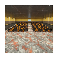 Tapis d'usine étoile mur à mur cinéma moderne coloré théâtre tache et résistant au feu coupe Pile Nylon imprimé tapis