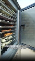 Congelador Rápido Comercial de 10 Bandejas para Helados, Carne y Pescado