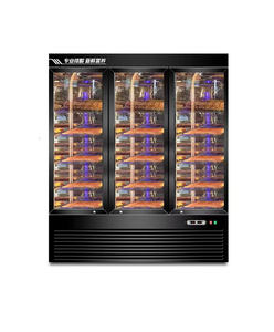 Nuelead NE-329, Gabinete de Maduración en Seco para Carne, Queso y Aire, de Acero Inoxidable, con Tres Puertas de Vidrio, Gran Capacidad de 1350L, Estantes y Control Digital - Product Image 1