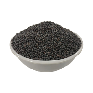 Semillas de Mostaza Negra, Variedad Bold, IPM Premium, Naturales, Enteras, 35% de Aceite Fijo, 1-2mm, Especias para Cocina India, Mezcla a Granel SUNRISE - Product Image 1