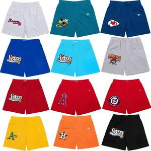 EE High Quality Polyester Colorful Mesh Gym Shorts Custom Mesh Shorts ee short Men