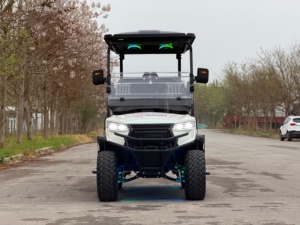 Carrito de Golf de 4 Plazas, Motor de Doble Batería, Vehículo Utilitario de Largo Alcance para Turismo, Certificado por la CEE, Nuevo, Certificado por el DOT - Product Image 2