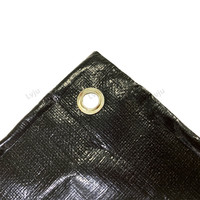 Lvju feuille de bâche en plastique de qualité Anti-UV Pe tissé polyéthylène 130 160 190 250 GSM noir bâche tissu imperméable