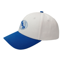 Topi Baseball Kanvas 6 Panel OEM Classic Unisex Putih Biru Gambar Bordir 3D Berkualitas Tinggi Model Snapback