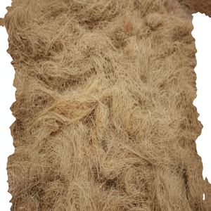 Fibre de noix de coco naturelle de haute qualité pour matelas brosses cordes tapis de culture paillis fibre de coco vente en gros de l'Inde - Product Image 1