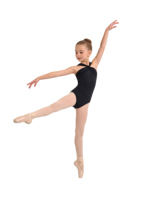 Boutique de scène Cherish Ballet Dance Wear Tutu Costume de danse romantique Giselle pour Performance Stage Dance Wear