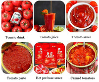 RVS Tomatenpuree Sauzenverwerkingslijn Fruit Groente Ketchup Productiemachine Fabrieksprijs