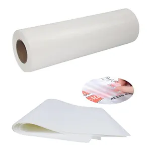 DTF Transfer Film Paper A4 Double Sided Thick Clear Pretreat Sheets PET Heat Transfer Paper Direct Print On T Shirts Textile