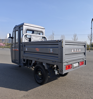 Tricycle électrique de cargaison de corps fermé du moteur 1000W 60V pour des adultes utilisation puissante de ferme avec la batterie au plomb pour l'usage urbain