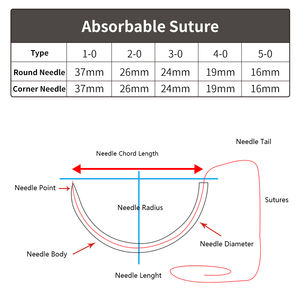 Sutura Chirurgica Veterinaria Sterile Assorbibile in Poliglactina Catgut Cromico 2/0 con Ago - Product Image 6