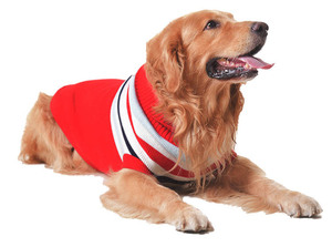 Atacado compra de marca de luxo de natal, vestuário grande de moda de cachorro roupas de animais de estimação, china, grande cão suéter - Product Image 4