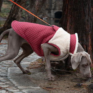 Accessoires pour animaux <span class=keywords><strong>de</strong></span> compagnie, vêtements d'hiver pour animaux <span class=keywords><strong>de</strong></span> compagnie, vêtements pour chiens personnalisés, vestes en velours pour chiens, vêtements pour animaux <span class=keywords><strong>de</strong></span> compagnie coupe-vent, accessoires pour chiens - Product Image 1