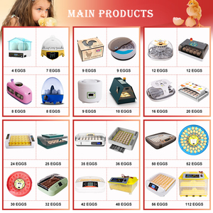 HHD Couveuse professionnelle à énergie solaire pour poulets, canards, autruches, caille, 5000 œufs, machine à couver, <span class=keywords><strong>prix</strong></span> agricole au Pakistan - Product Image 2