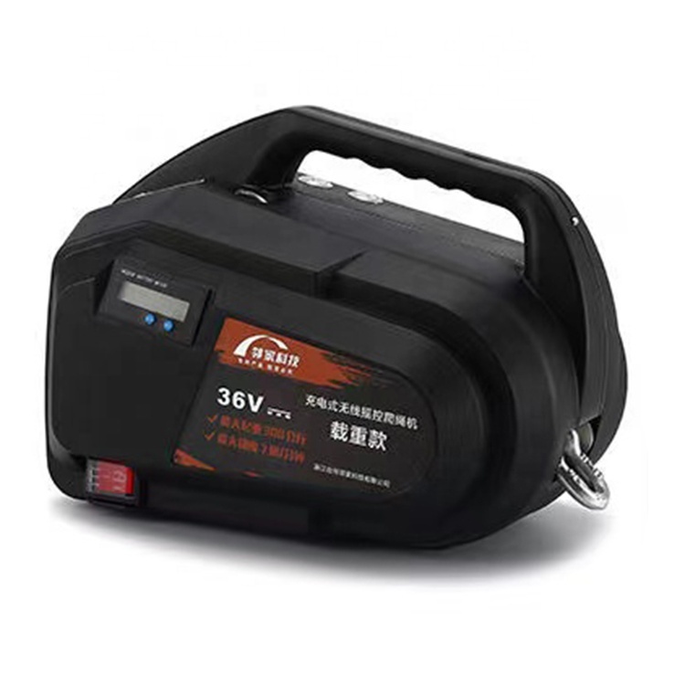 New Type 200kg 300kg Portable Wireless