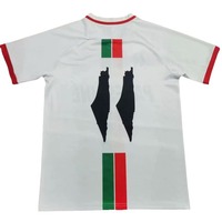 Maillot de Foot Palestine Nouvelle Édition Impression 3D Édition Fan – T-shirt Homme Édition Spéciale Tenue d'Entraînement Sportif