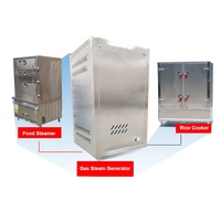 Chaudière à vapeur à gaz GPL automatique 40-120 kg/h, générateur de vapeur, machine de production de lait de soja et de jus, chauffage d'appoint, chaudière 103 C
