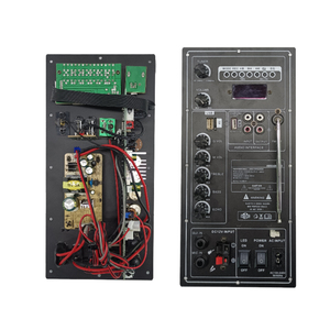 Amplificatore per Subwoofer Classe D da <span class=keywords><strong>100</strong></span> Watt, Scheda Ricevitore e Amplificatore, Vendita Calda - Product Image 1