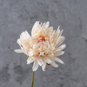 CallaFloral Chrysanthème Artificiel à Branche Unique Blanc Décoration de Mariage Style Ins - Product Image 3