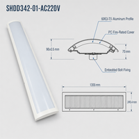 SHIZI AC220V DC110V Luminaire LED Linéaire pour Transport Ferroviaire et Métro, en Aluminium 6063-T5 et PC, Conforme aux Normes EN 45545 EN 50155, OEM ODM Vente en Gros