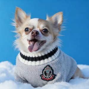 Herfst Winter Luxe Polyester Ecologisch Verantwoord Honden- & Kattentruien Op Maat Gemaakt Modieus Warm Comfortabel Kleine-Middelgrote/Grote Maten - Product Image 1