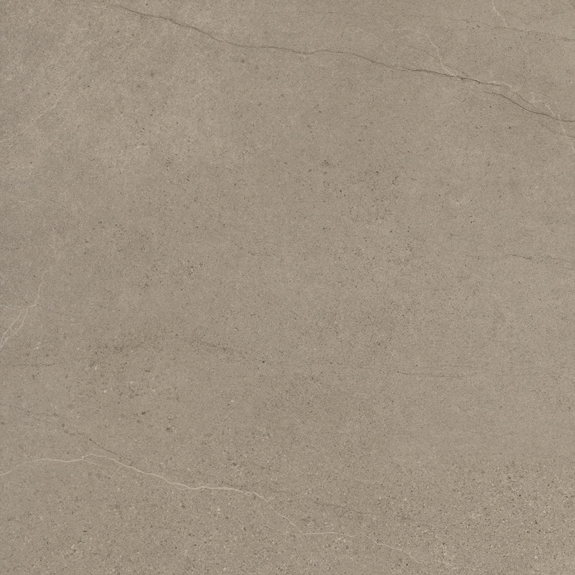 Foshan Hasin Full Body Tile Waterproof Bathroom Rustic Tiles Flooring Popular in Europe