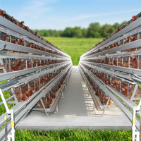 Cage à poulets en batterie pour l'élevage avicole, cages pour poules pondeuses, cages pour volailles, maison pour poules, élevage de poulets