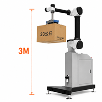 Robot de Paletización Colaborativo de 20 kg y 50 kg, Sistema de Empaquetado, Máquina Paletizadora con Certificación CE, Solución Llave en Mano