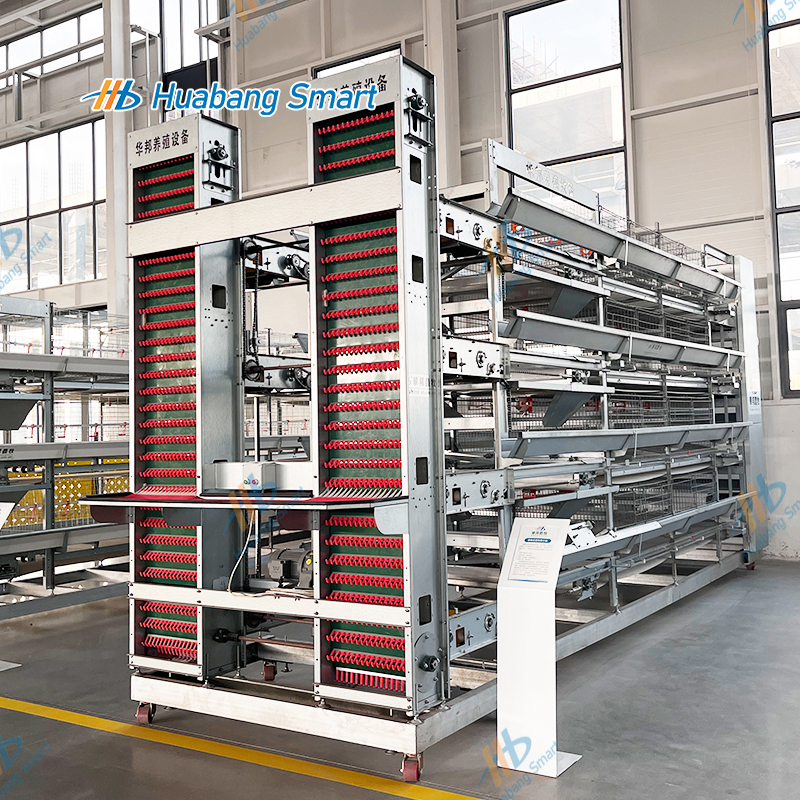 Automatic Layer Chicken Cage for Poultry