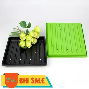 Trays For Seeds Export Heavy Duty 1010 Seed Trays For Sale