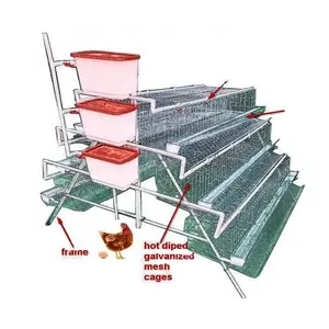 Jaula de animales suministrada por fábrica agrícola, jaulas de batería para Pollos de Corral, capa de pollo con uso