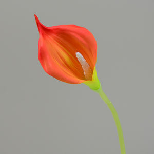 Fleurs artificielles communes <span class=keywords><strong>Callalily</strong></span> prix d'usine EVA courte tige unique mariage salon Festival décoration fausse fleur - Product Image 1