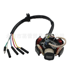 Pièces de modification de moto tout-terrain ATV C110-6 Bobine de stator magnétique 6 pôles Système d'allumage pour ATV et motos tout-terrain - Product Image 3