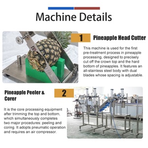 Línea de Pelado y Corte de Piña Rentable para Piña en Anillos, Rodajas o Cuñas - Product Image 2